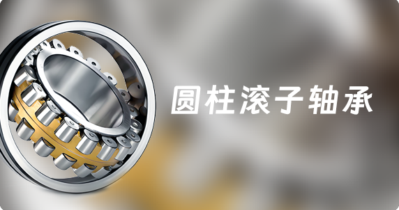 圓柱滾子軸承 2類(lèi)