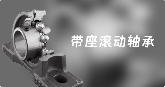 帶座滾動(dòng)軸承