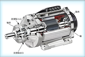 電機(jī)軸承